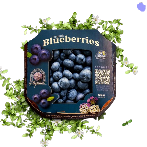 Empaque Blueberries